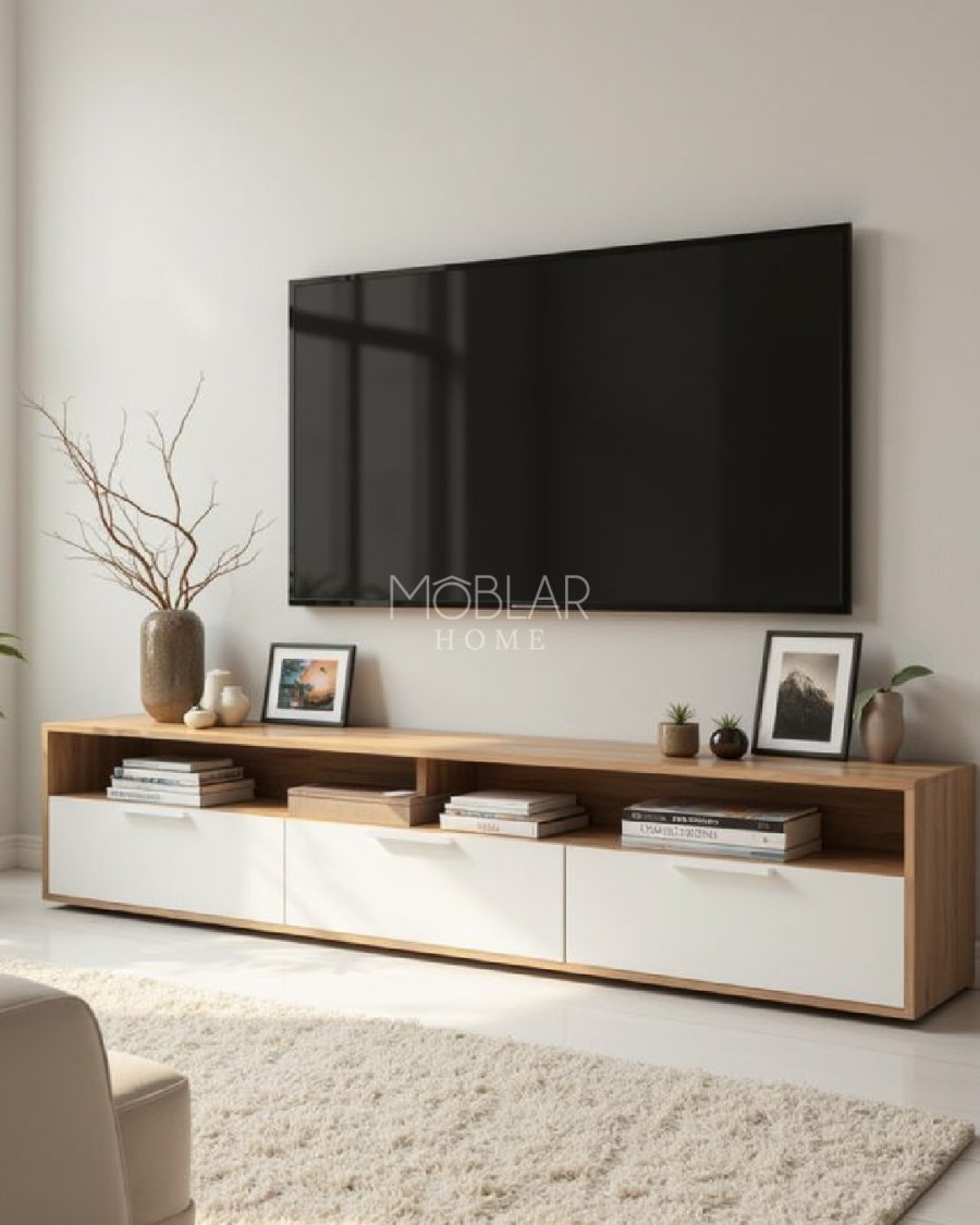 centro tv Carter_Mesa de trabajo 1 Centro de TV Carter